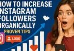 how to increase instagram followers organically